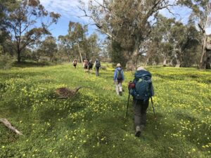 heysen iii towards crystal brook 2 reduced 300x225