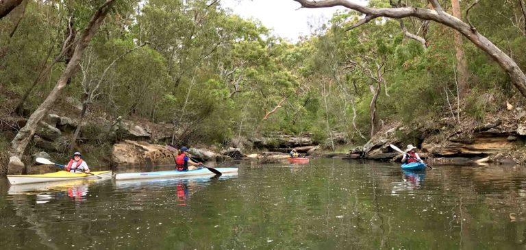 kayaking pic for website reduced 768x365